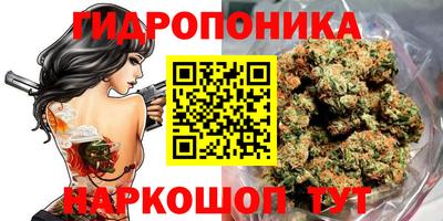spice Усть-Илимск
