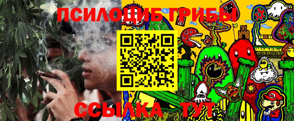 Псилоцибиновые грибы Cubensis Солнечногорск
