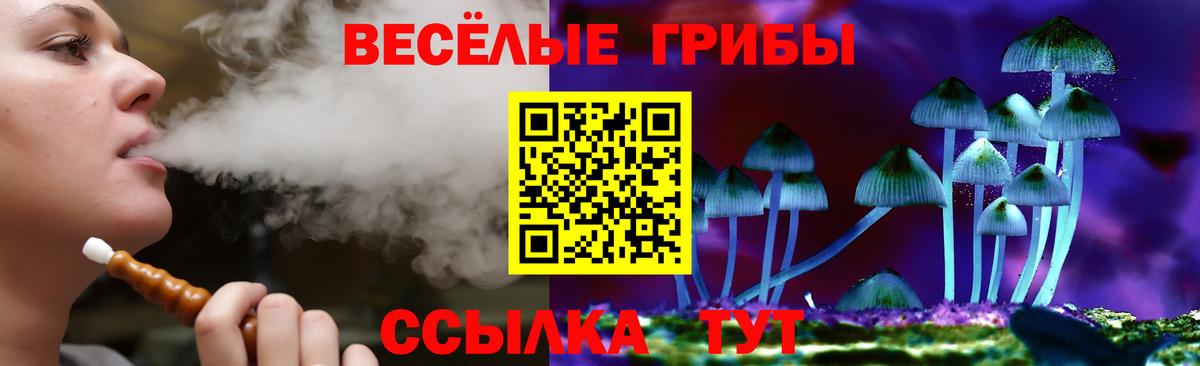 Солнечногорск  Галлюциногенные грибы MAGIC MUSHROOMS  продажа наркотиков  Псилоцибиновые грибы прущие грибы  Вход с VPN 